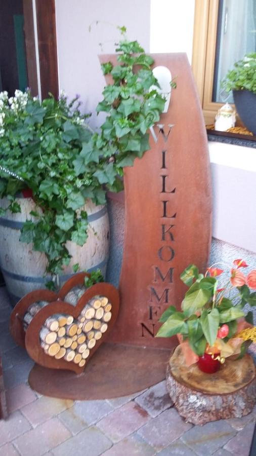 Apartment Hochkoenigblick Pilzegg Embach エクステリア 写真
